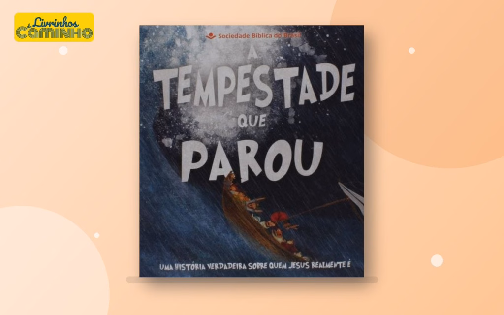 Capa do livro A Tempestade que Parou, de Alison Mitchell